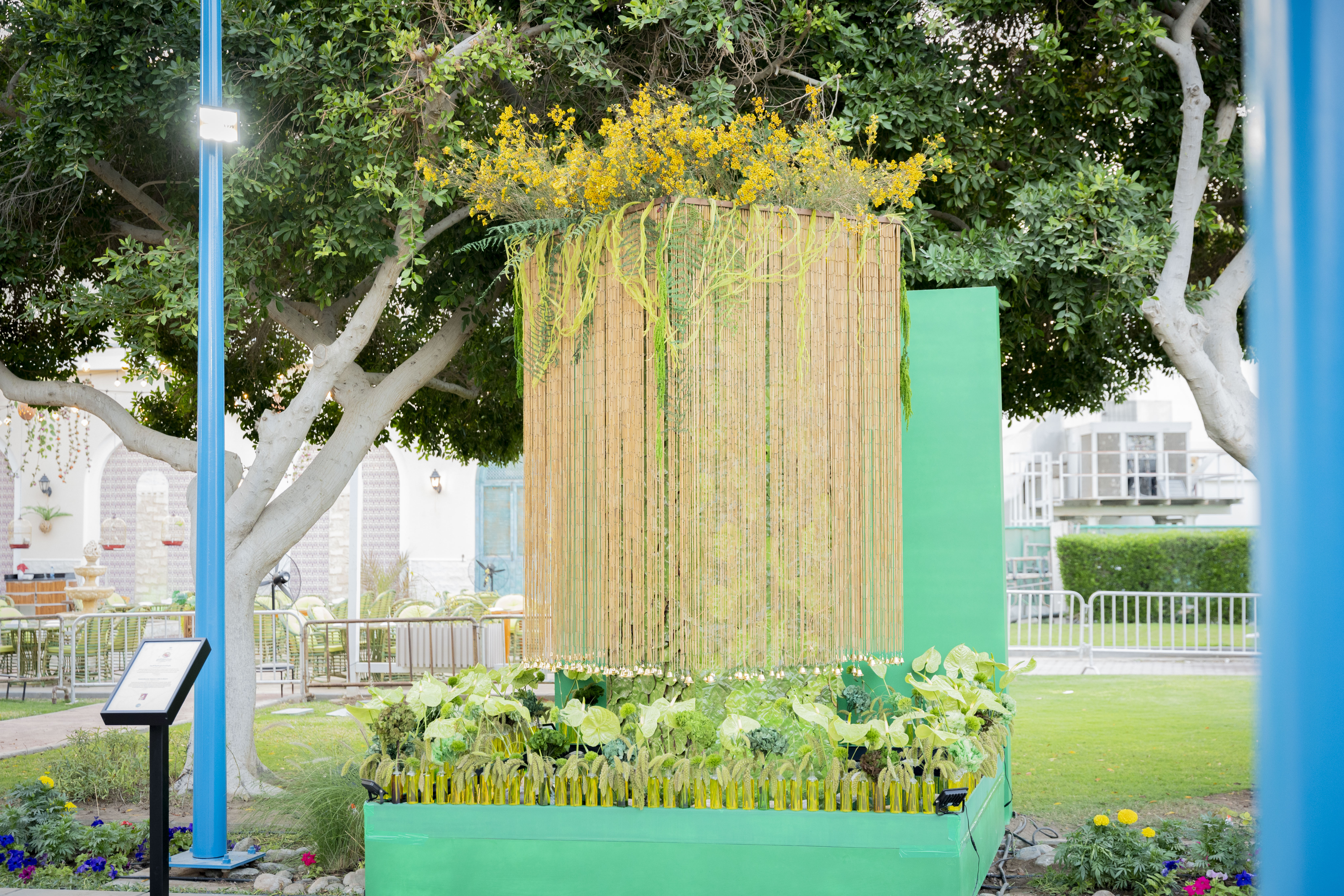 Bloom Oman Display