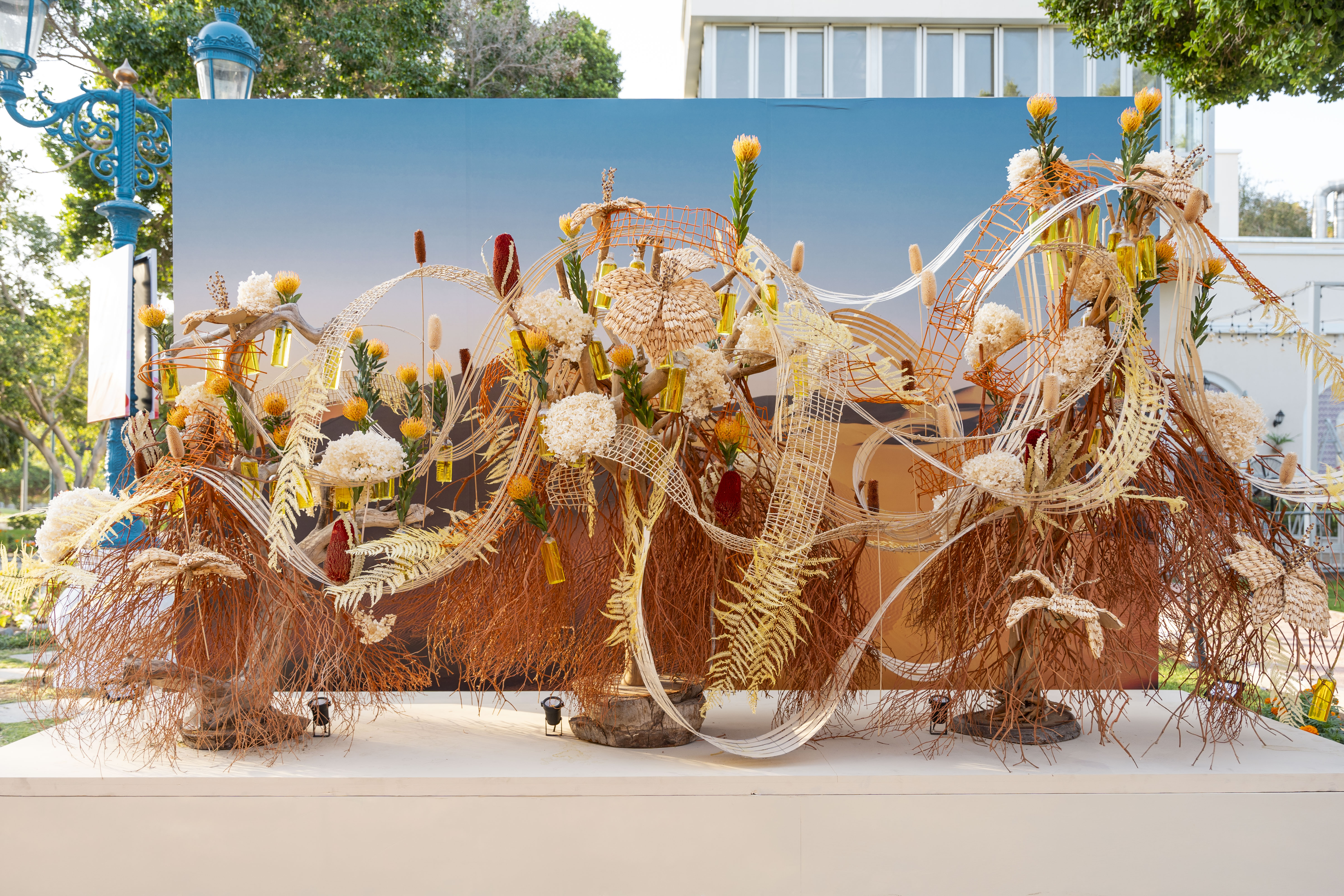 Bloom Oman Display