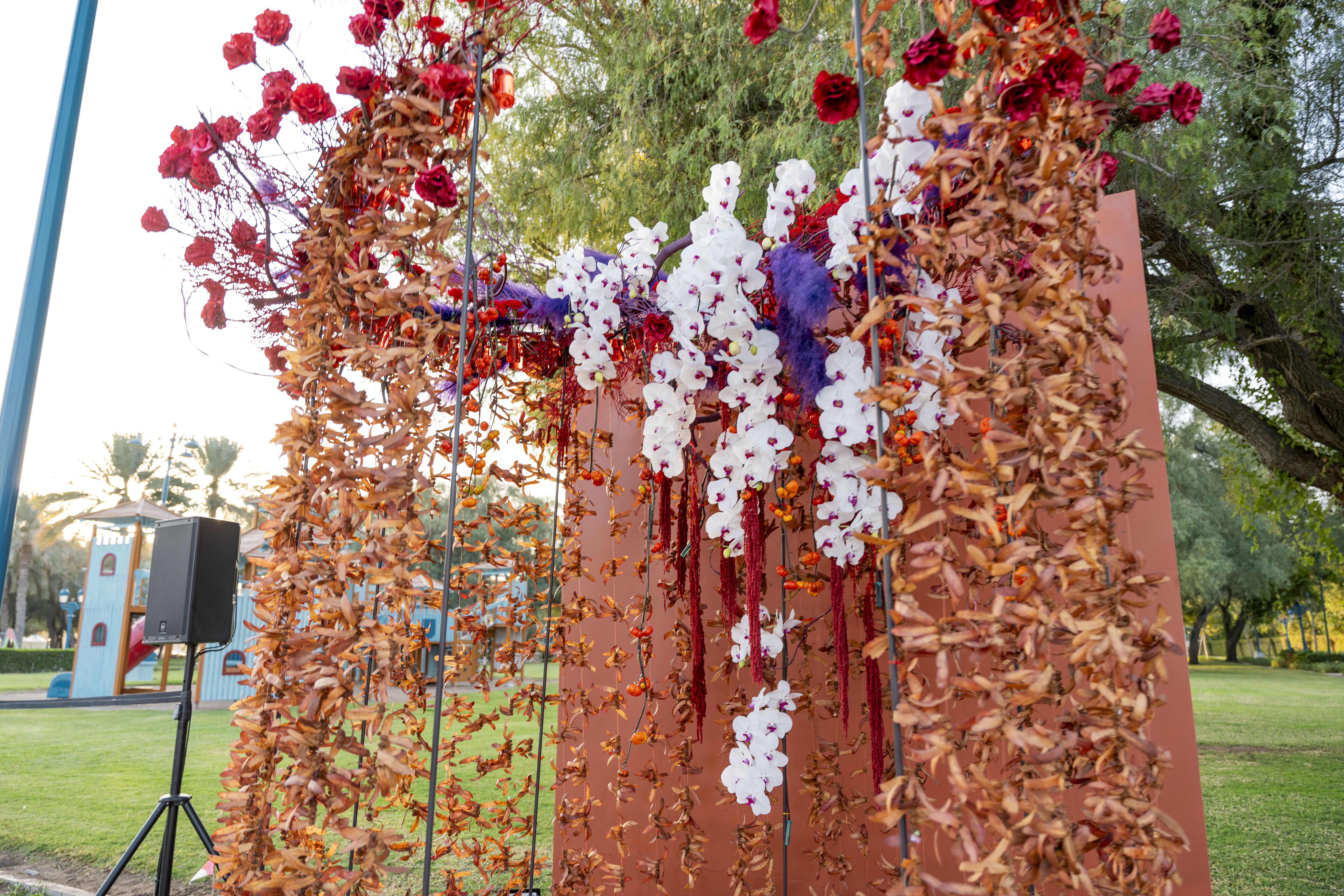 Bloom Oman Display